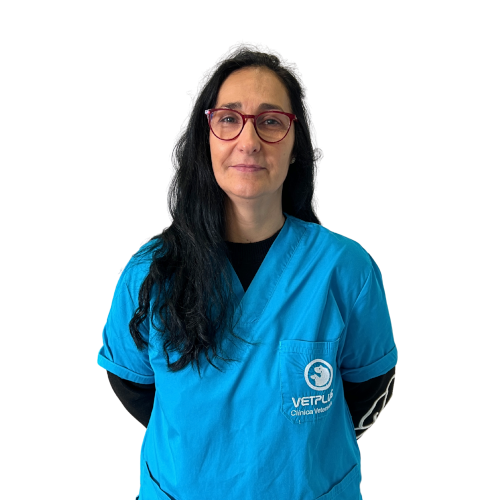 Auxiliar_Maria Jose Alves